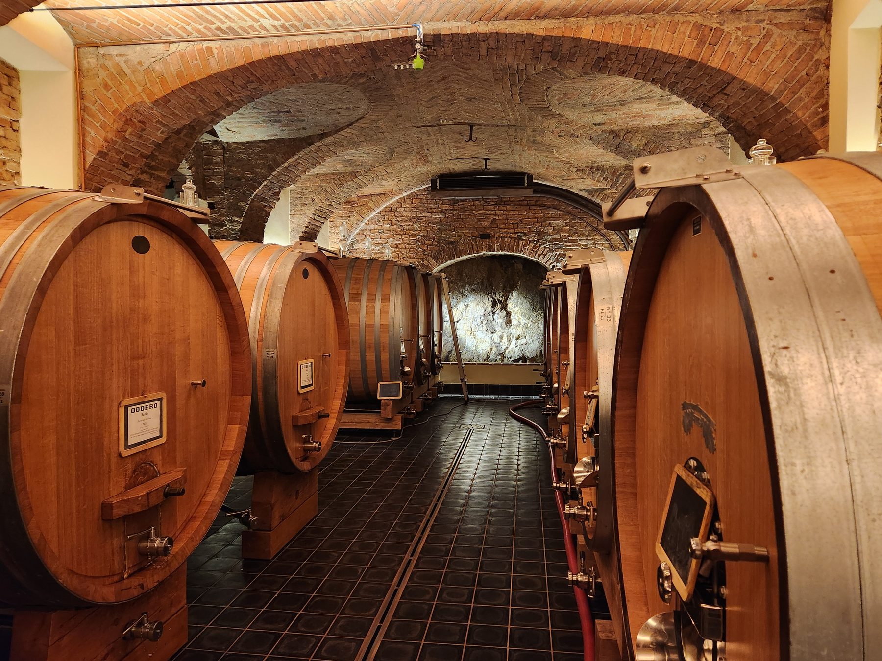 Cave voûtée en brique avec rangée de grands foudres en bois, domaine viticole à Barolo