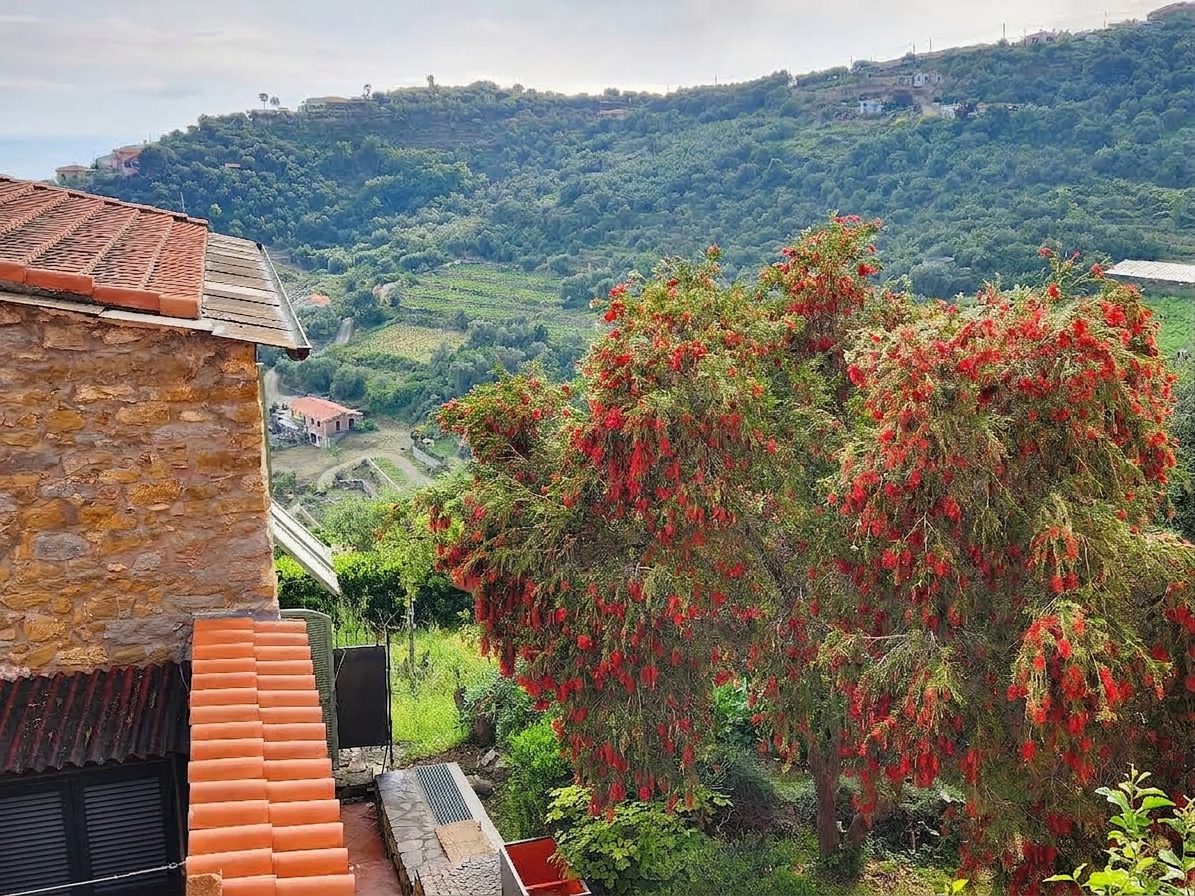 Vue depuis un domaine de l'arrière-pays d'Imperia, toit en tuiles et collines cultivées en Ligurie