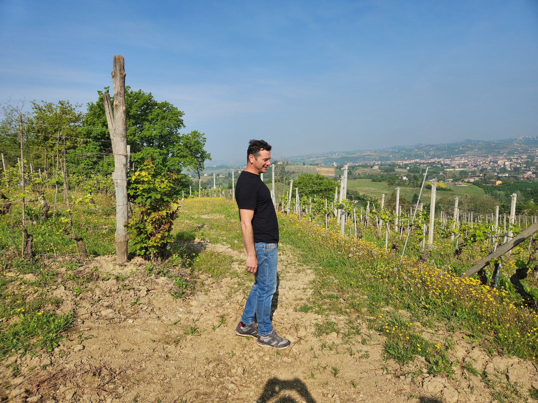 Vigneron dans ses rangs de vigne à Nizza Monferrato, vue panoramique sur les collines du Piémont