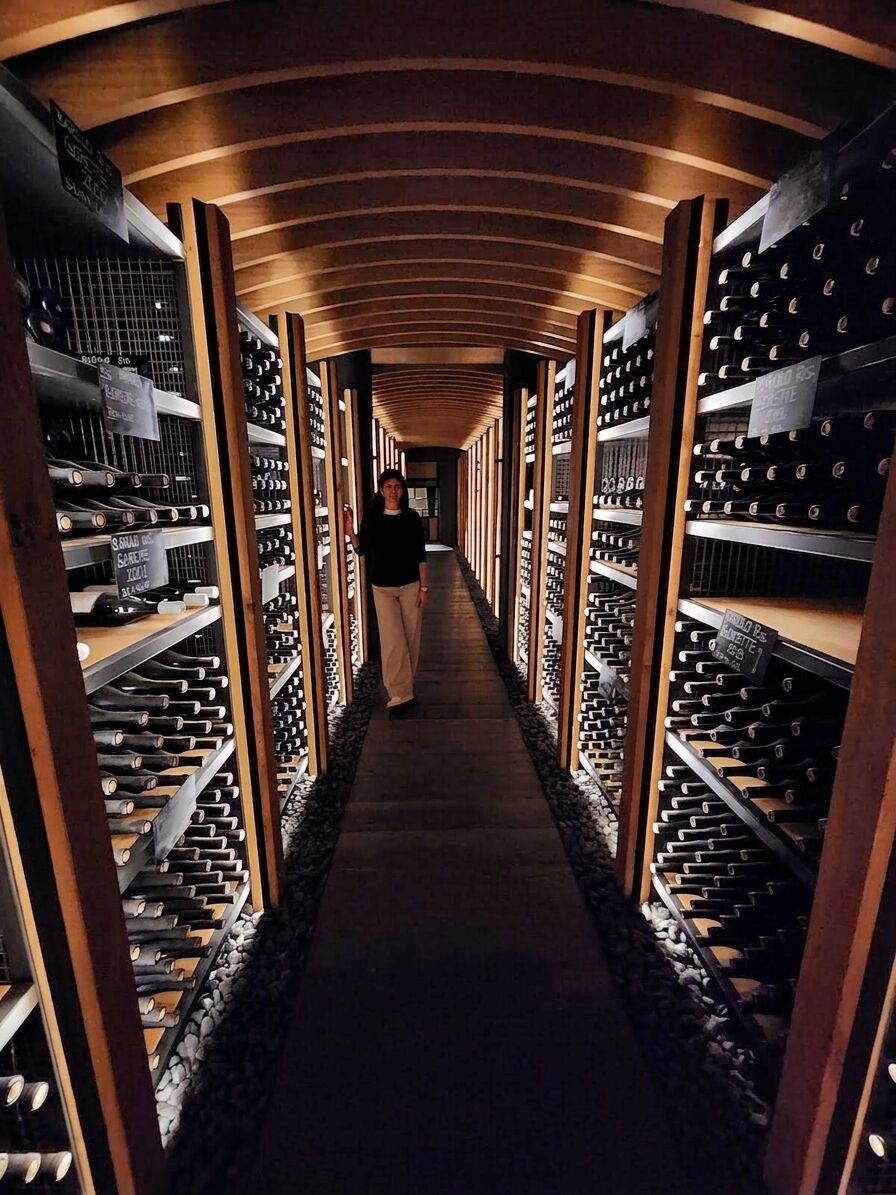 Cave voûtée en bois avec rangées de bouteilles vieillissantes, domaine du Piémont