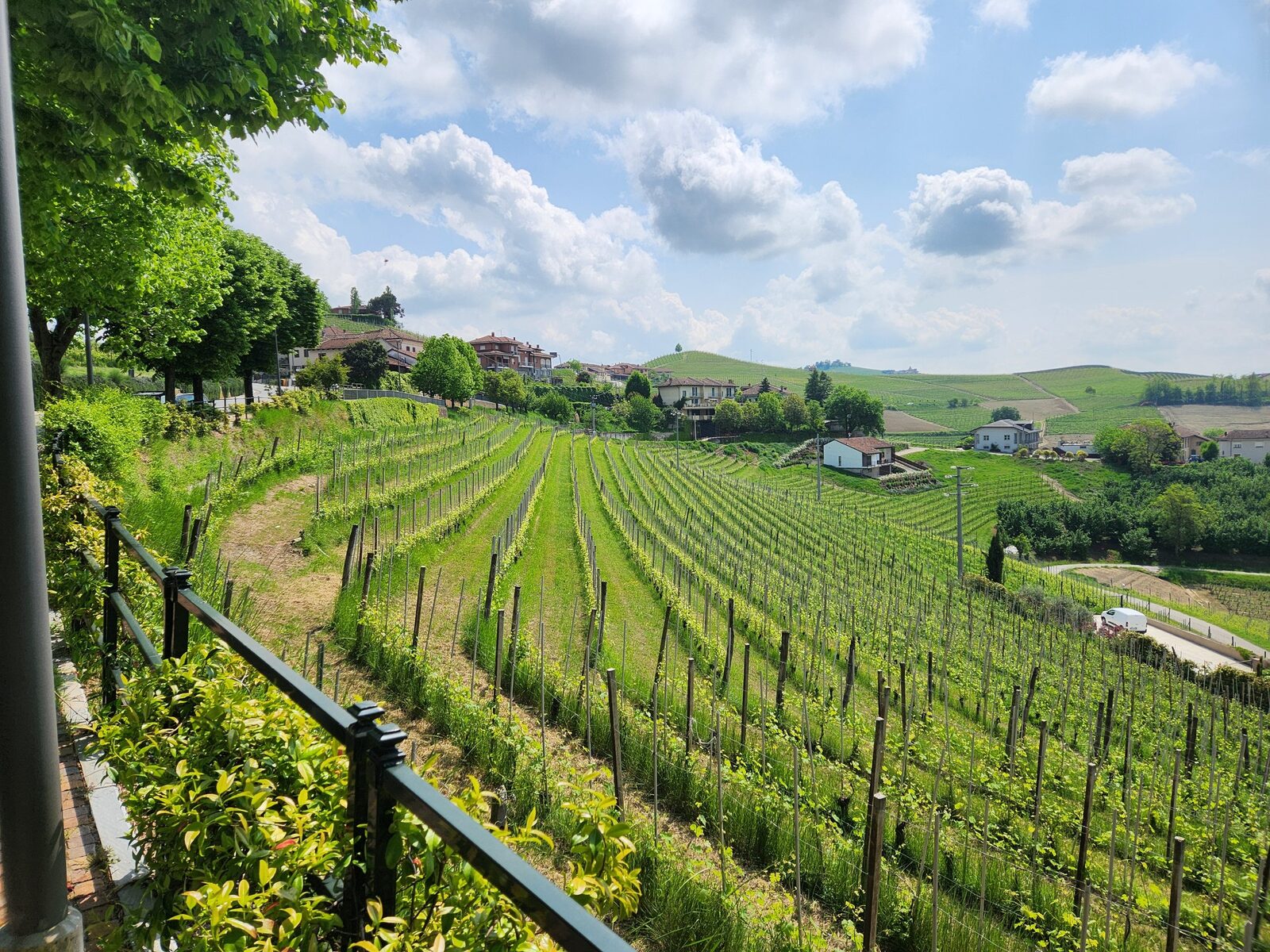 Rangs de vignes descendant vers un village perché, clocher en ligne de mire, Langhe, Piémont