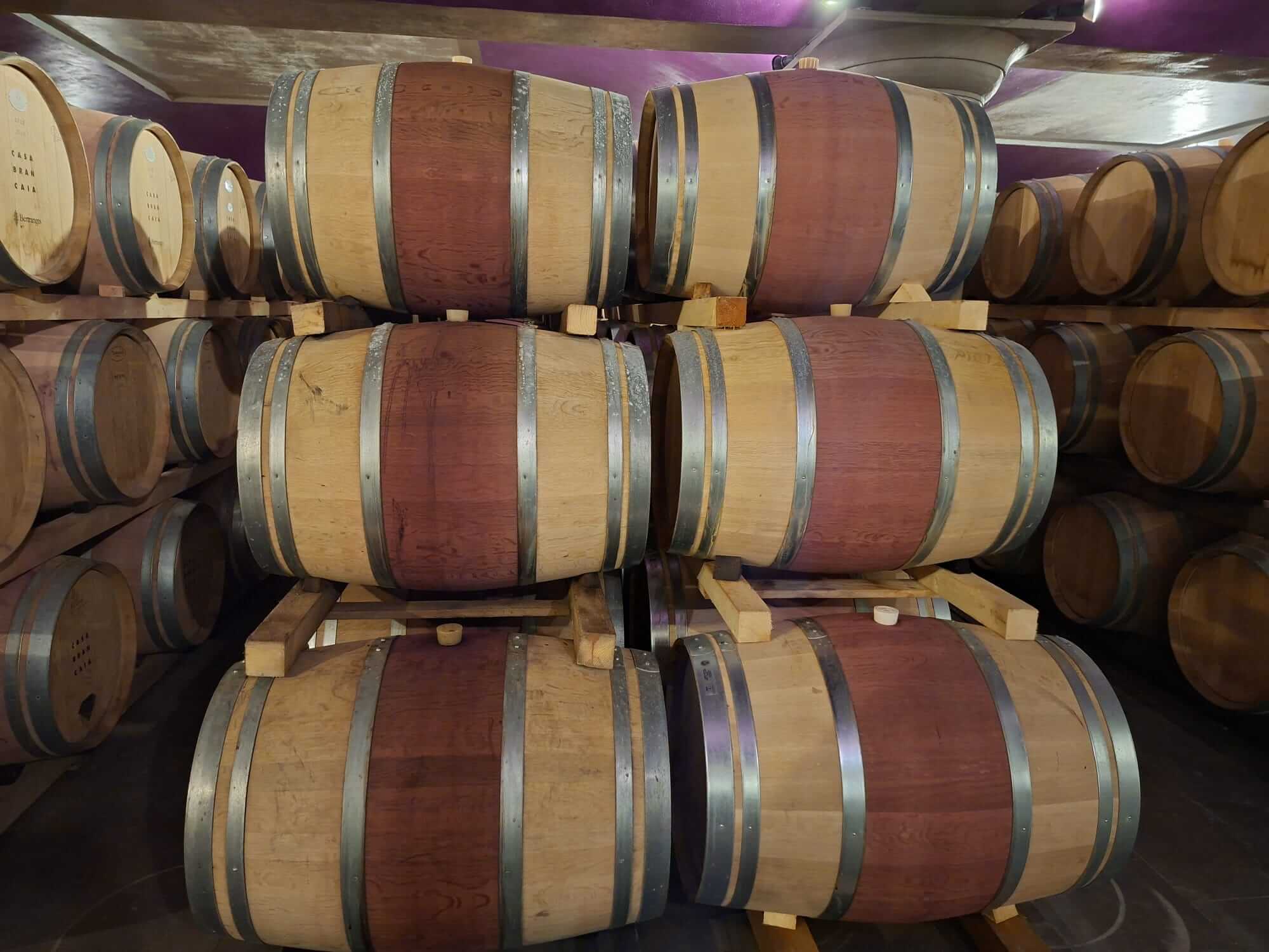 Barriques neuves en chêne empilées dans la cave de le domaine